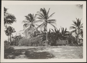 Bathsheba, Barbados, rear entrance to the Beachmount Hotel, John Hassell, prop.