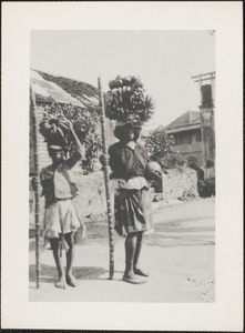 Island of Montserrat, B. W. Indies, boys carrying fruit