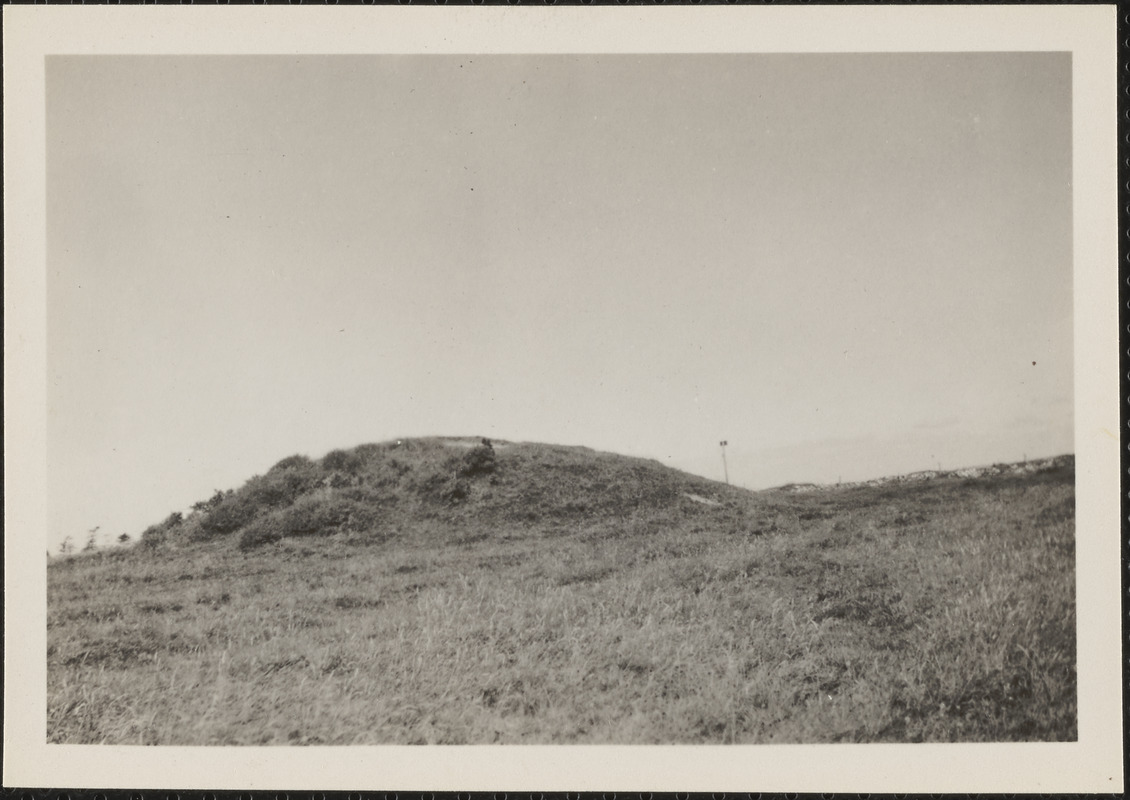 Tara Hill