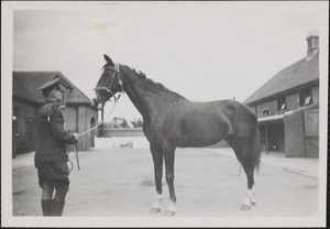 Horses at McKee Barracks