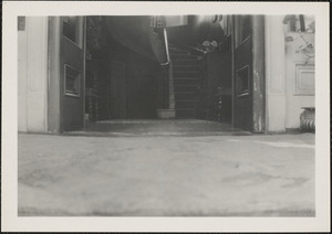 "Dun Emer," Dundrum, view from the steps into the front hall, my camera is on the floor