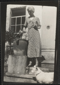 Gracie, Biddy the mother dog and "Yo Yo" her daughter in the flower vase