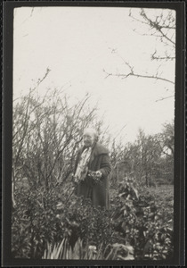 Miss Evelyn Gleeson in the garden at Dun Emer, Dundrum