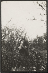 Miss Gleeson in the garden at Dun Emer, Dundrum