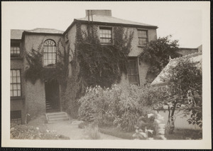 The rear of Mrs. Henry's house looking towards the garden, "Lillium henrii" [i.e. Lilium henryi] on the right