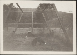 The Silver Fox Farm, Glenealy, Co. Wicklow, at Ballyfree