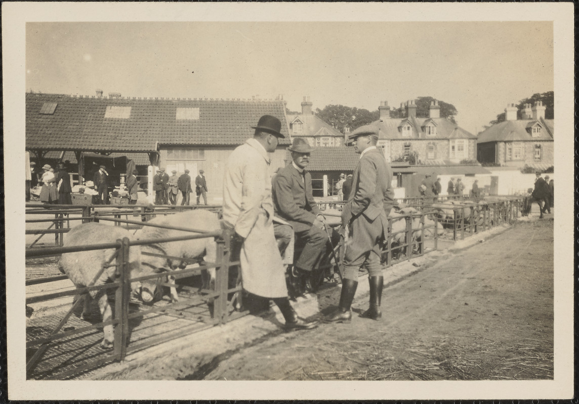 The cattle market at Thurles