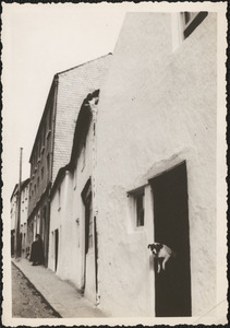 Mrs. Edmonde's dog, 2 Gate St., Wexford, Ireland