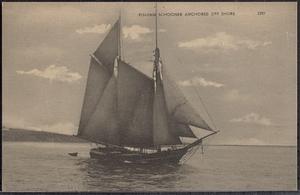 Fishing schooner anchored off shore