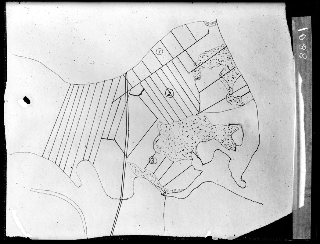 Plan William Ting Farm Merrymount