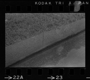 Edge of road, likely outside U.S. Army Natick Laboratories