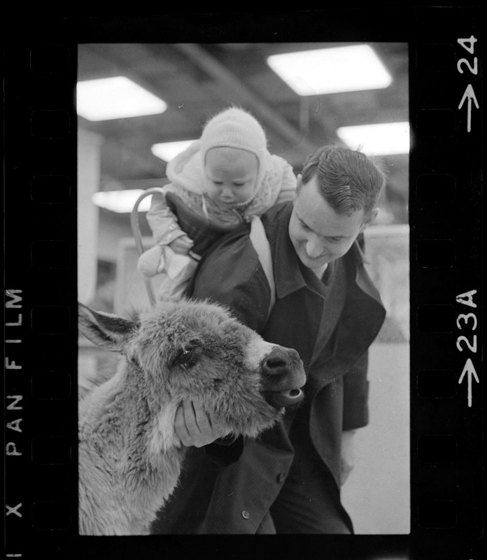 Man with child petting donkey at Winterfest