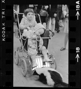 Children in stroller with skunk at Winterfest