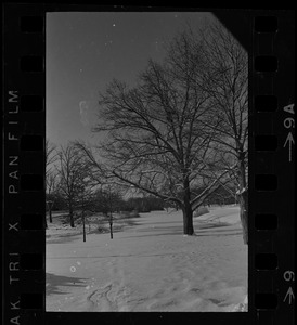 Snowy landscape