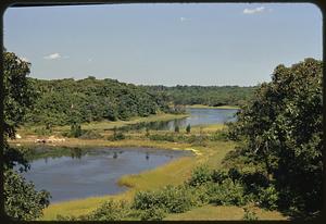 Ponds or marsh