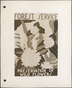 Forest Service, preservation of wild flowers
