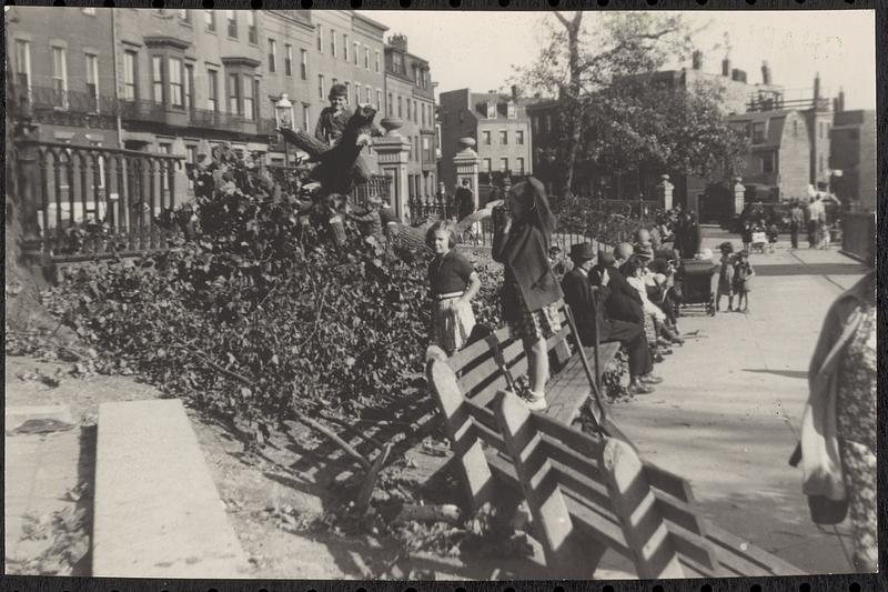 Hurricane tree dwellers, Training Field, Charlestown - Digital Commonwealth