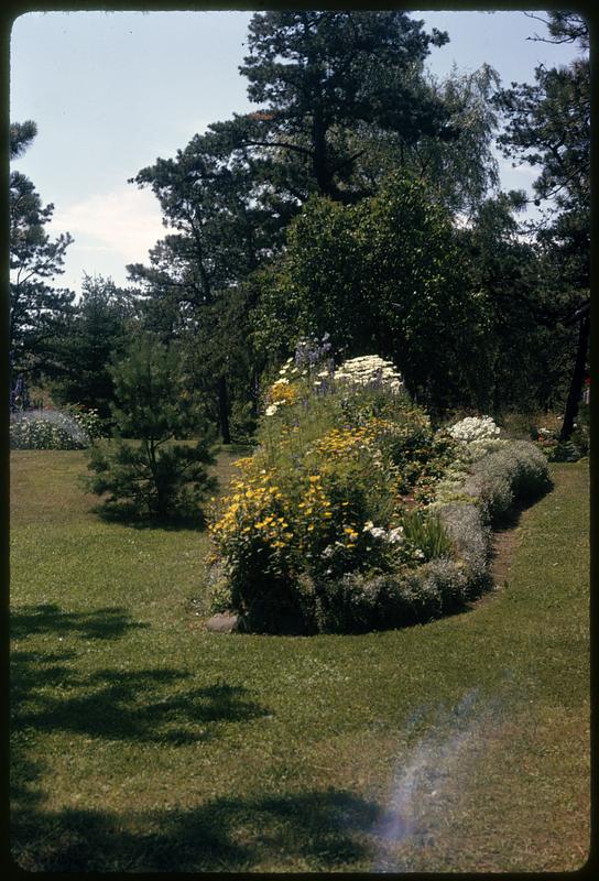 Old Orch Mrs. Petti's garden