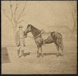 General Grant's horse, "Jeff Davis"