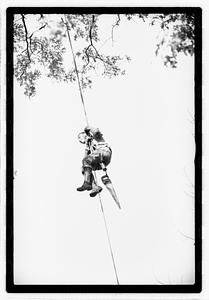 Tree maintenance, Boston Common
