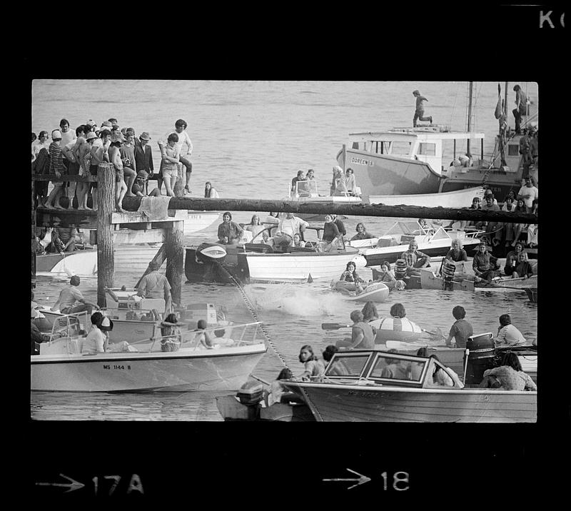 4th of July greased pole walk over water, Gloucester, MA Digital