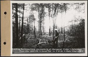 Contract No. 55, Portion of Petersham-New Salem Highway, Petersham, Franklin County (Worcester County?), looking northwesterly on property of Margaret Fiske, from Sta. 389+50, Franklin County, Mass., Jul. 9, 1936