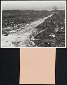 Plundered Wilderness. By some it's considered a wasteland, good only for timber. And lumbermen have bulldozed a hardwood stand on this stretch of the Big Thicket of East Texas, to make way for a pine tree farm. An opposing point of view is that the Big Thicket is an area of unique ecological interest which must be preserved from further depredation. Three bills calling for a 100,000-acre national park are pending in Congress.