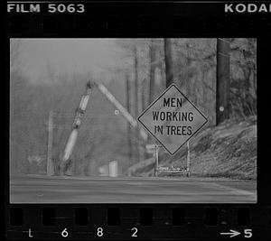 Men working in trees sign