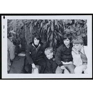 Four boys pose at a zoo