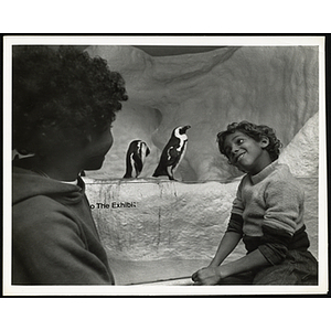 Two boys pose near a pair of penguins in an aquarium