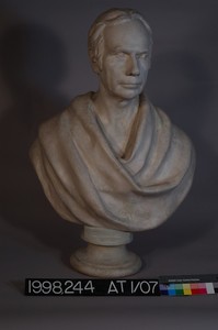 Bust