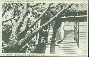 House being crushed by falling trees : the Great New England Hurricane of 1938