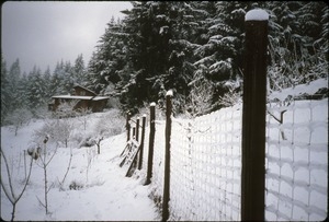 Serendipity Farm house and fence in snow
