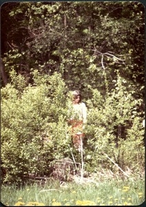 Unidentified woman standing in brush at the edge of the woods