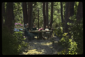 Group sitting around table in the woods