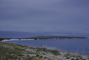 Beach near Deering