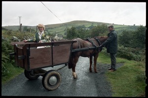 Margaret Heckler, United States Ambassador to Ireland, in a pony cart in the Wicklow Hills