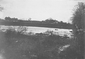 Manning's Pond