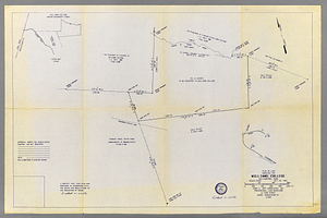 Williamstown surveyed land plan