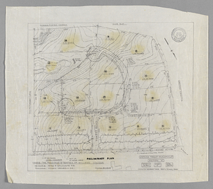 Forest Road Development Section "A" preliminary plan