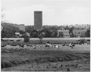 Campus Views, 20th Century - 1960s