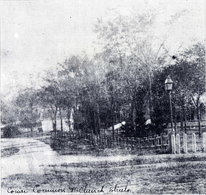 Wakefield Common, circa early 1860s