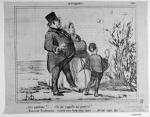 - Des papillons!!!.... cela me rappelle ma jeunesse!.... - Monsieur Prudhomme, voulez-vous bien vous taire...... devant votre fils!.....