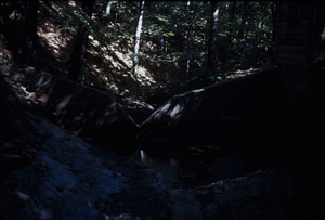 South Branch Birch Brook ponding basin and weir at extreme low-flow.