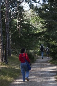 Three people walking down a trail through the woods, Wellfleet Bay Wildlife Sanctuary