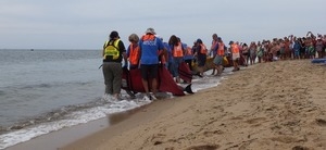 International Fund for Animal Welfare volunteers begin to lift dolphins off their mats to carry them to the water, with crowd looking on