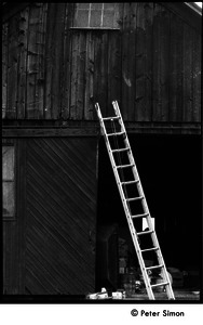 Ladder leaning against the open doorway of a barn, Packer Corners commune