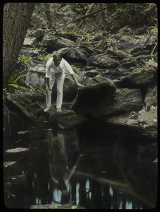 Holland Glen (young man observing woodland stream pool)