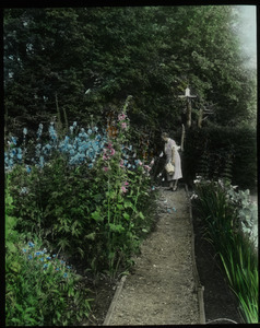 Waugh Garden (iris, delphinium, hollyhocks and others, woman with basket examining)