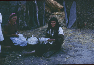 Women cleaning wool